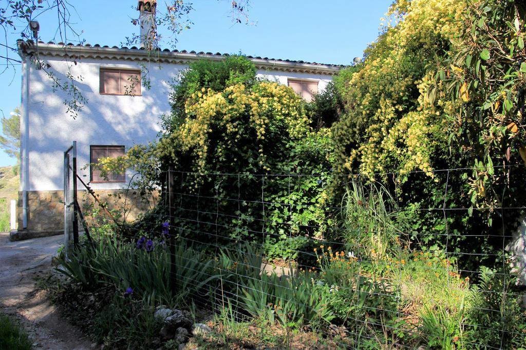 Mesoncillo Neo Villa Hornos Exterior photo