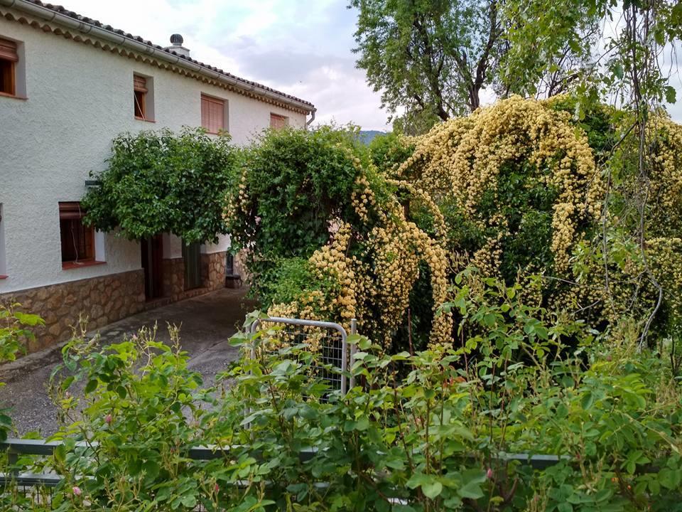 Mesoncillo Neo Villa Hornos Exterior photo