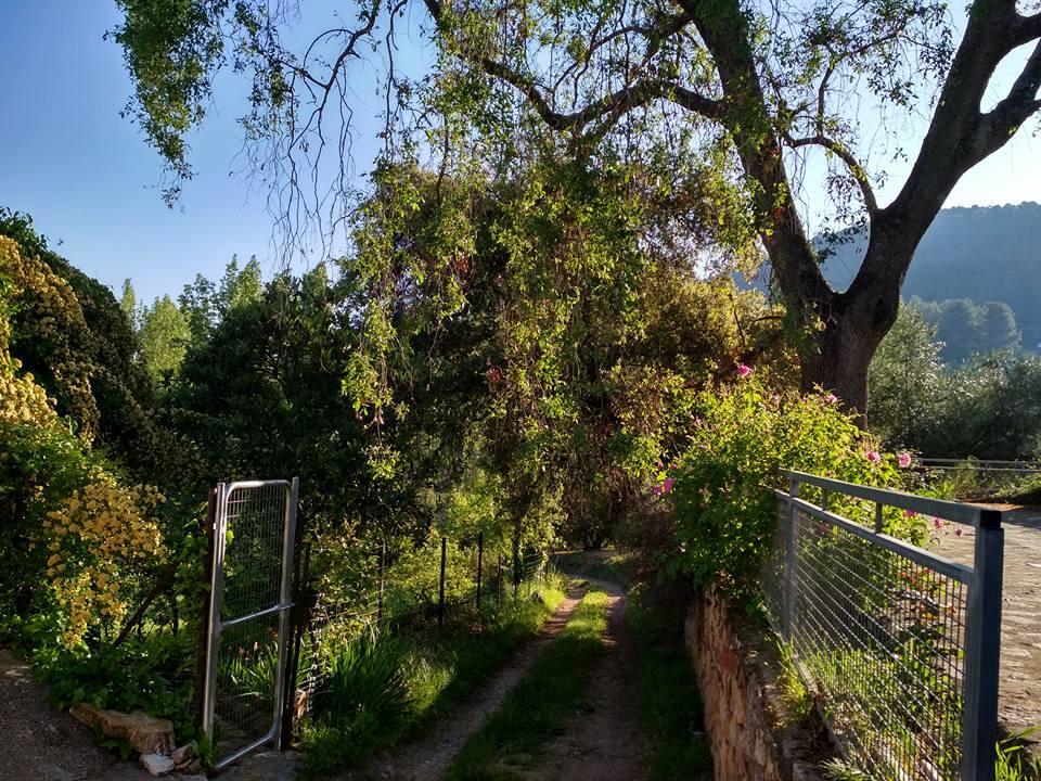 Mesoncillo Neo Villa Hornos Exterior photo